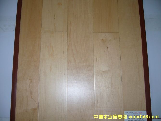 ��ľ��Ԕ����B