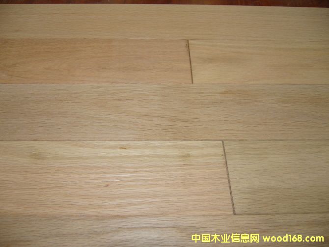 ��ľ��Ԕ����B