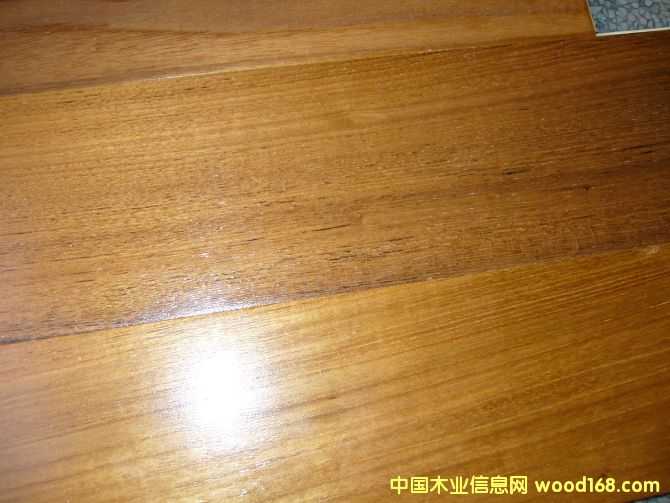 ���ֵ�Ԕ����B