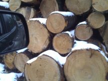 ��������ԭľ��Ԕ����B