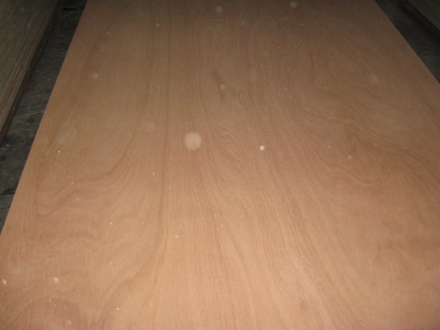 �sľ�z�ϰ��Ԕ��(x��)��B