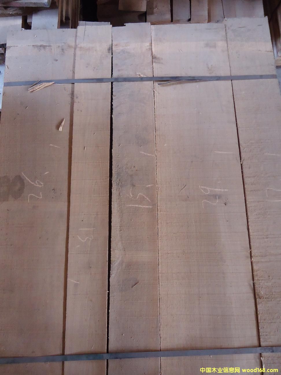 ��(y��u)�x�������ĵ�Ԕ��(x��)��B