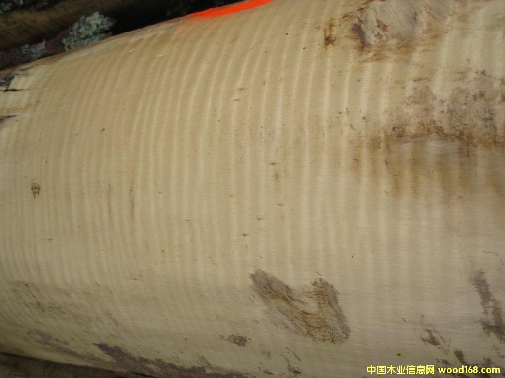 ��ľӰ��Ԕ����B