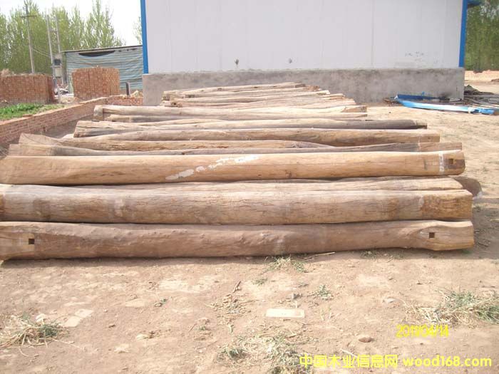 ����ľ����Ԕ����B