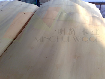 ��ľ�ΰ��Ԕ����B