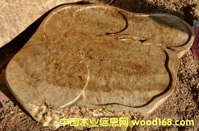 �S������P��Ԕ����B