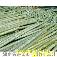 ����Ԕ����B