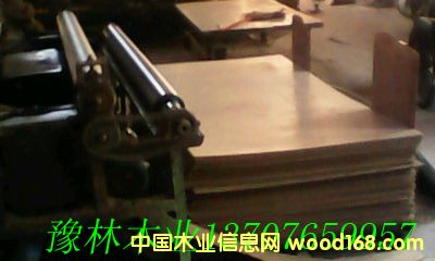 Ӳ�|�w�S��