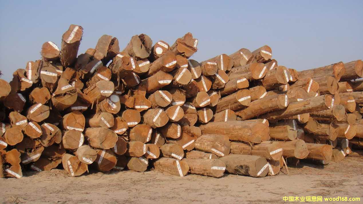 �����ϵ���ľԭľ����ľԭľ��Ԕ��(x��)��B