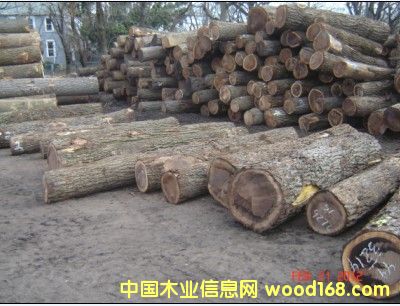 �����ں��ҵ�Ԕ����B