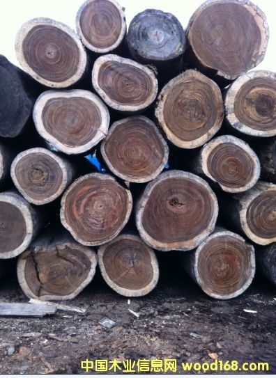 ���Rľ��Ԕ����B