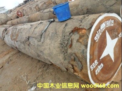 ɳ������Ԕ����B