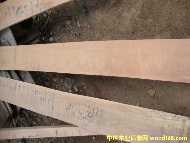 ��(y��u)�|(zh��)�L�l�ٹ��