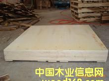 ����ľ�бP�����ڰ��b���Ԕ����B