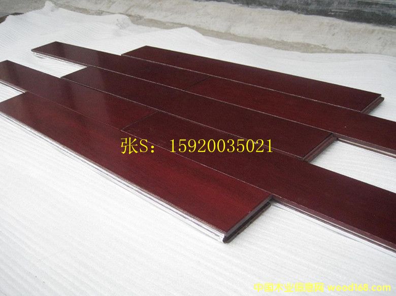 �ʰͶ�/�𲻓Q ��ľ�ذ��Ԕ����B