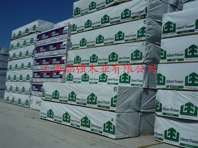 ����SPF��Ԕ����B