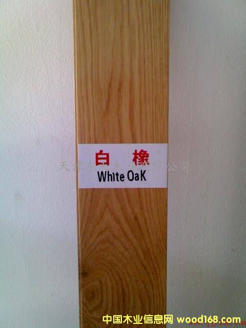 �c(di��n)���鿴����ľ��ķŴ�DƬ