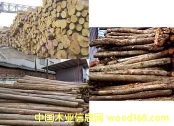 ɼľ���sľ��Ԕ����B