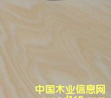 ��ľ��Ԕ����B