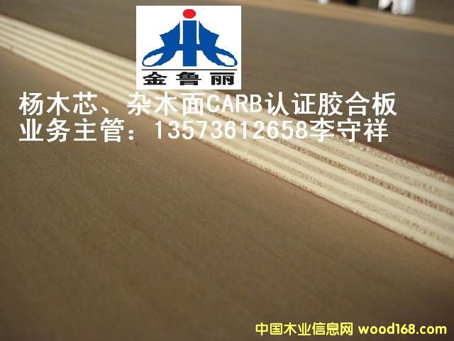 ��о���s��CARB�z�ϰ�