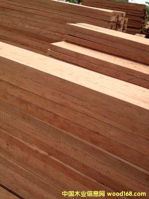 ���޻���ľ��Ԕ����B