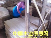 �ذ�о���Ԕ����B