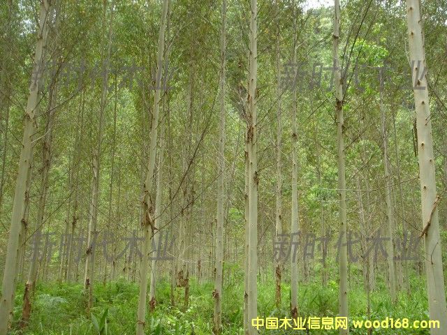 �c���鿴����ֵ�6�Ŵ�DƬ