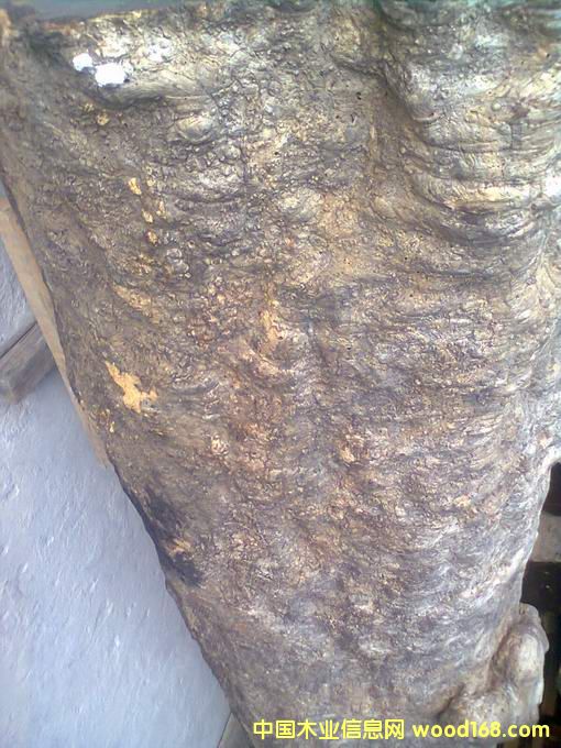 ���黨��ľ����Ԕ����B