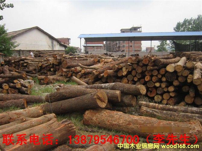 �sľ��Ԕ��(x��)��B