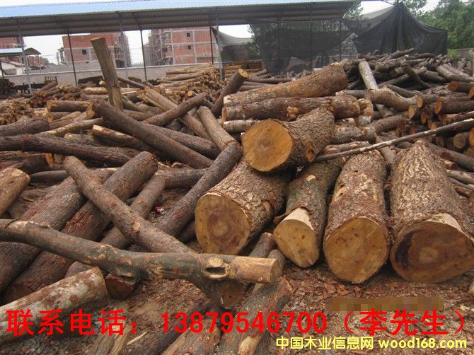 ��ľ��Ԕ��(x��)��B