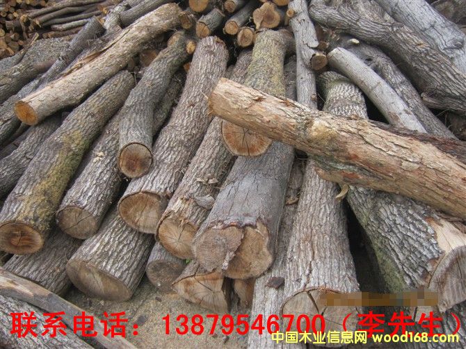 ����ľ��Ԕ��(x��)��B