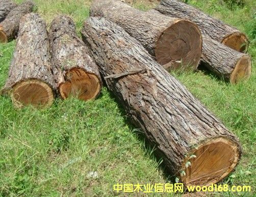 ��ľԭľ�ȼ�(j��)��ABC/����Ĳ�