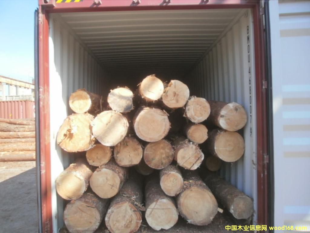 ��һ�������m����ԭľ