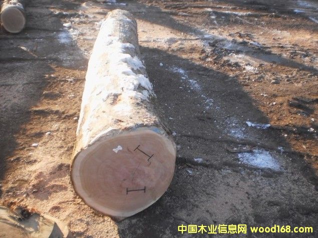 �_�R�၆����䏲�ABC��