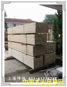 ���ڌ���ľ��