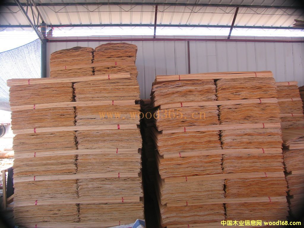 һ��(j��)���Ԕ��(x��)��B