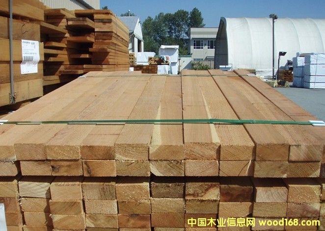 �tѩ�ɽ�(j��ng)��(j��)���^��(j��)��Ԕ��(x��)��B