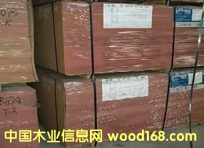 �yȼ���ܶ��w�S���Ԕ��(x��)��B