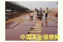 ���z���Ԕ����B