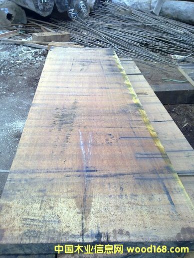 ɽ������Ԕ����B