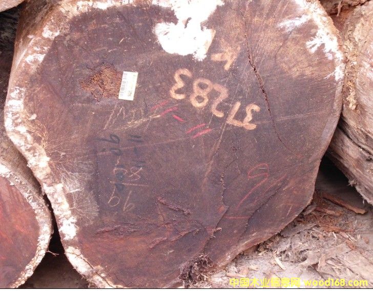 ���}���K��������ľ����̩��ԭľ��Ԕ����B