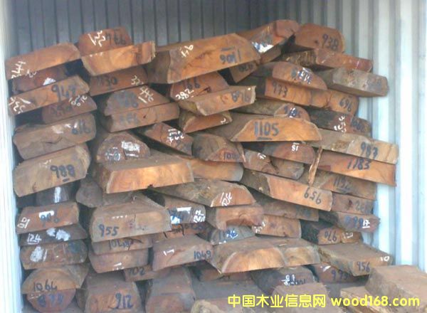 С�~�t̴/Swartzia/�R�_��˹���Fľ����Ԕ����B