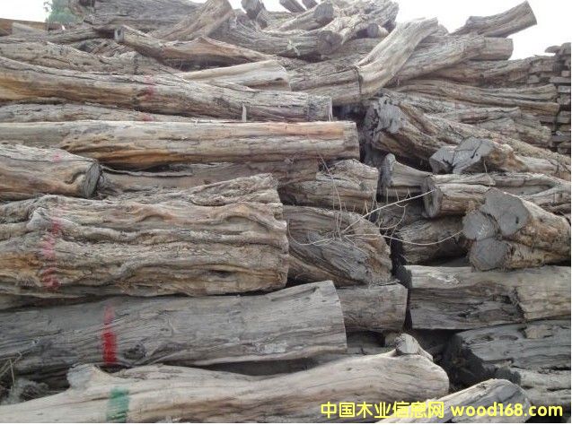 �|�Ǻ��S̴/���ޞ�ľ/�Ϲ�̴--�M�ڈ��P������Ԕ����B