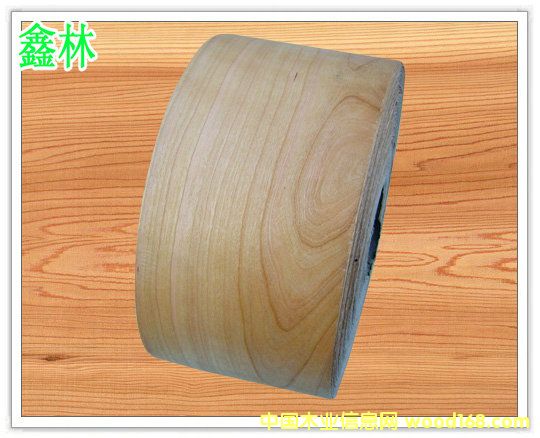 �o����ָ��ľƤ��߅�l��Ԕ����B