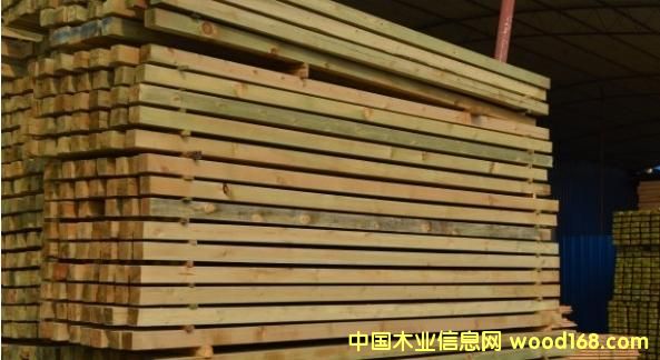 [��] �ްl��2013ľ�ĺ�ɸG�ṩ