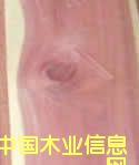 ��ɼ��Ԕ����B