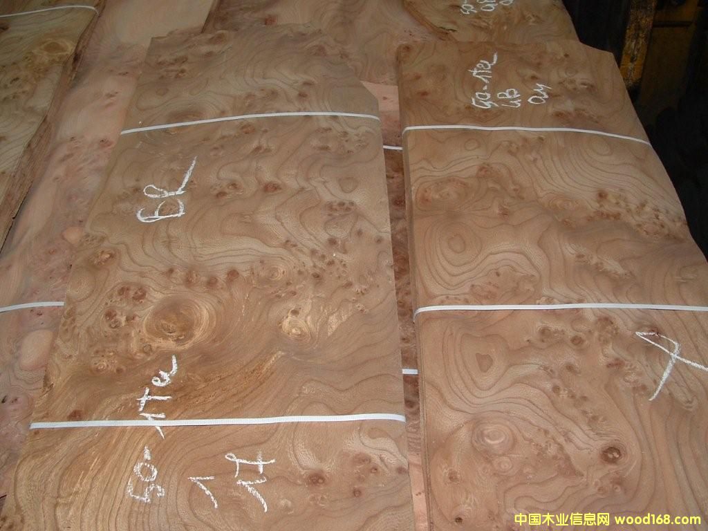 ��ľ�����Ԕ����B