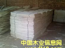 ��ľ�ΰ��Ԕ��(x��)��B