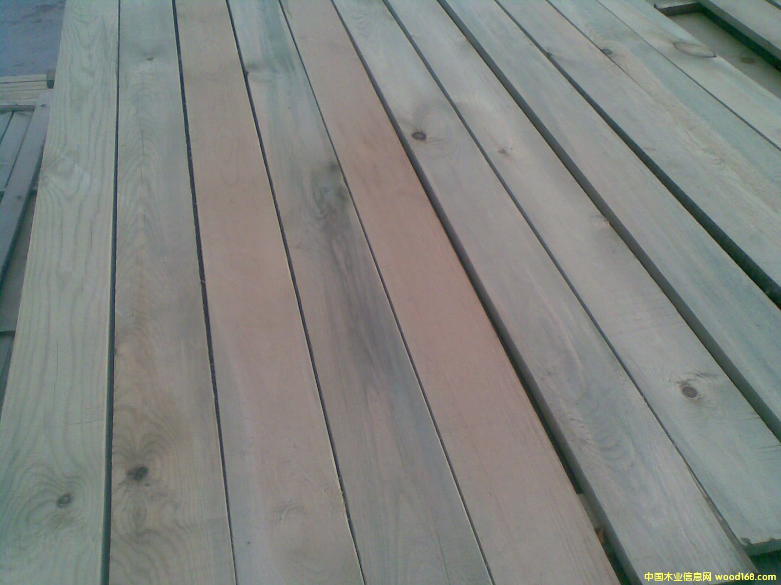 �����ɷ���ľ��Ԕ����B