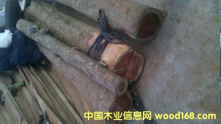 �t��ɼ��Ԕ��(x��)��B